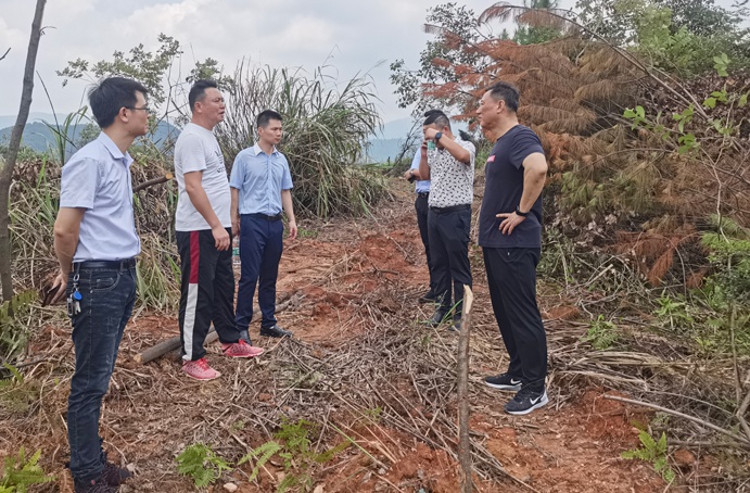 徐旭視察綠色建筑產業(yè)園項目6912.jpg